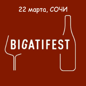 Энергичный Сочинский Bigati Fest 