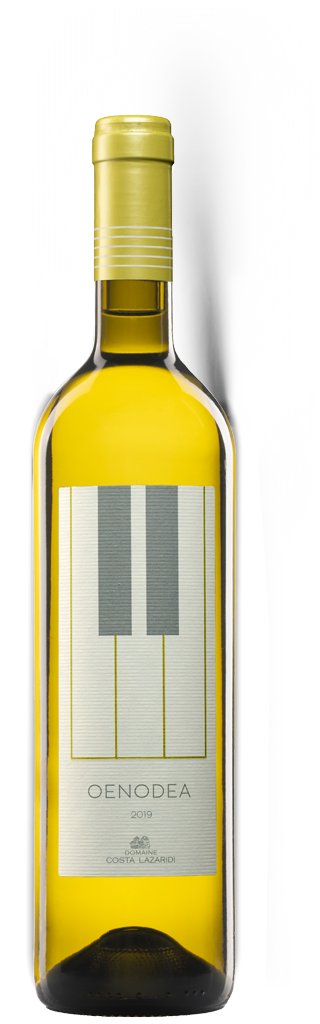 картинка Энодия 2024 г/у от магазина Юта