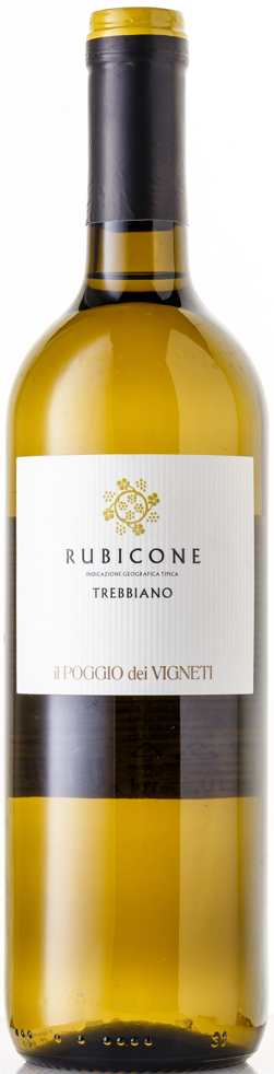 картинка Иль Поджио дей Виньети Треббьяно Рубиконе 2023 г/у от магазина Юта